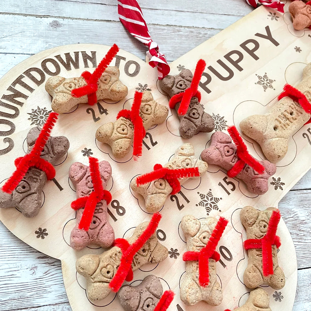 25 Days Dog Bone Christmas Countdown Advent Calendar