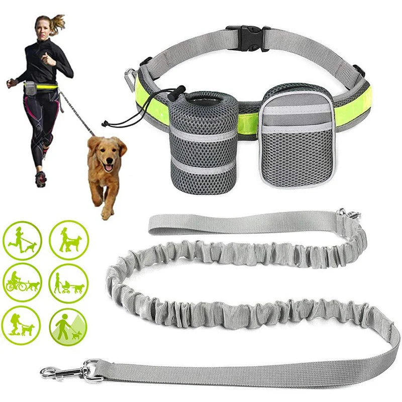 Running Friend Reflective Handsfree Dog Leash Belt