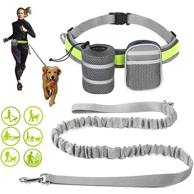 Ceinture réfléchissante mains libres pour chien Running Friend