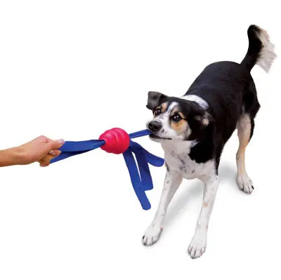 KONG Classic Tails Dog Toy