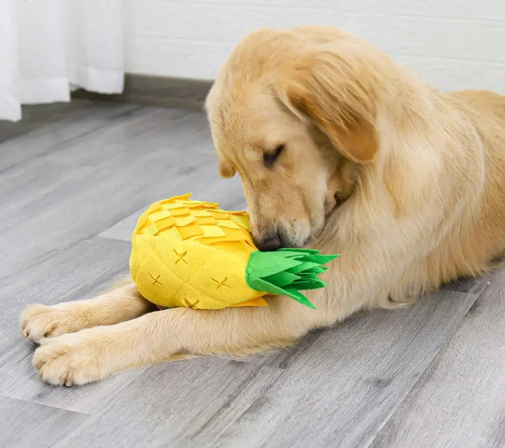 Sniffing Treat Pineapple Dog Toy