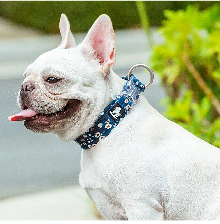 Collier pour chien à motif floral avec coussin rembourré confortable