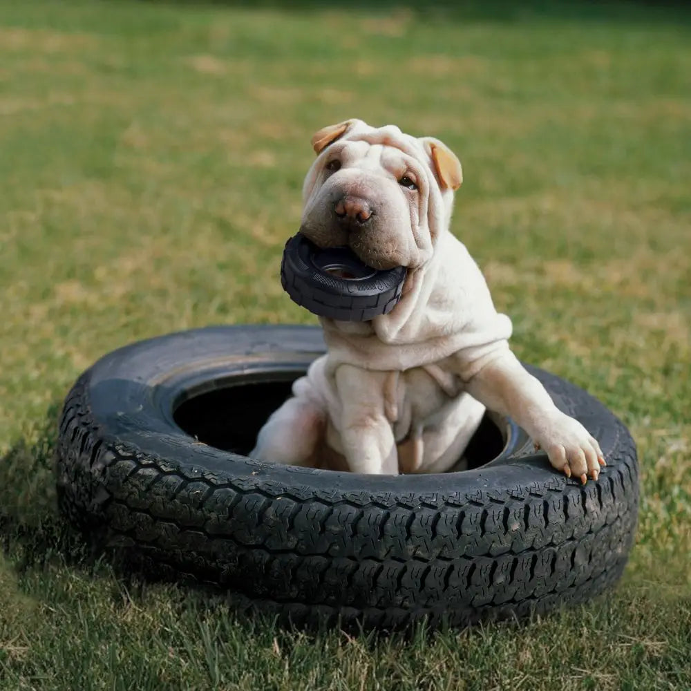 KONG Tires Dog Toy Size-M