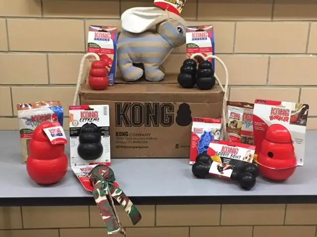 KONG Starterbox für Welpen