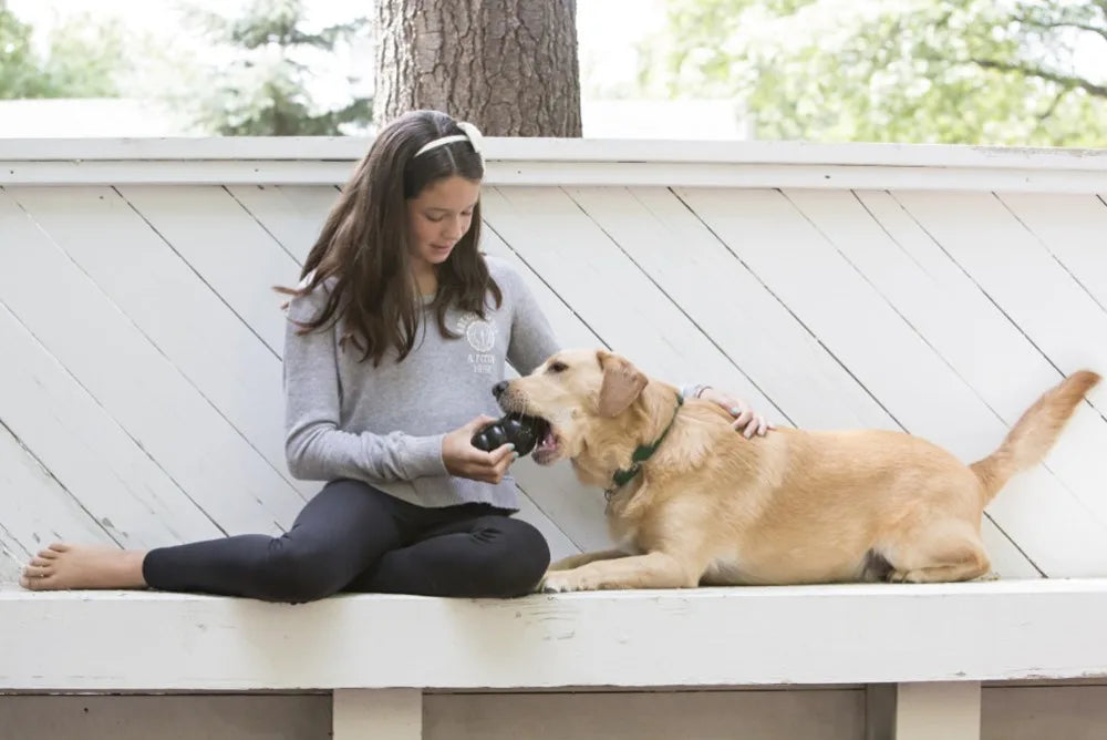 Jouet pour chien KONG Extreme avec votre choix de friandises pour chien S-XXL