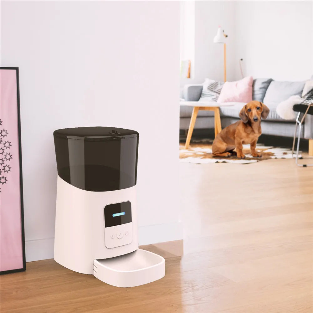 Distributeur automatique de nourriture pour animaux de compagnie intelligent avec Wi-Fi de grande capacité de 6 L