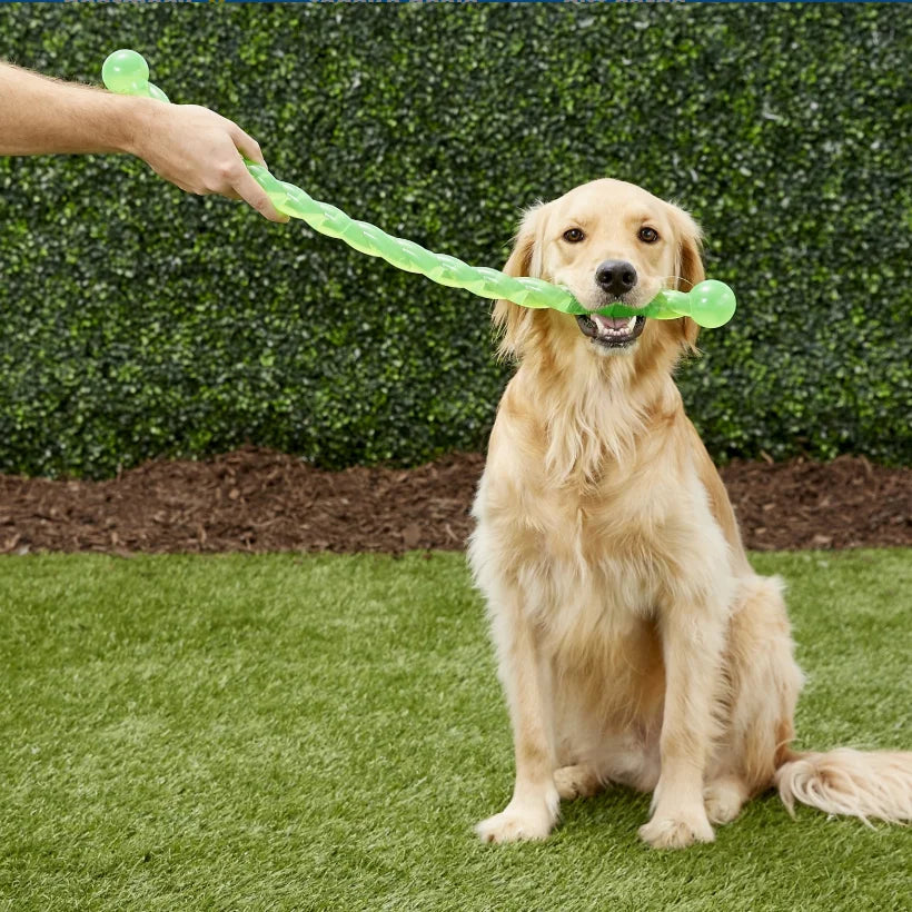 KONG Safestix Hundespielzeug S-Größe