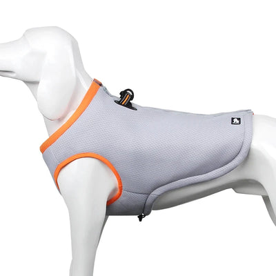 Gilet rafraîchissant ergonomique pour animaux de compagnie