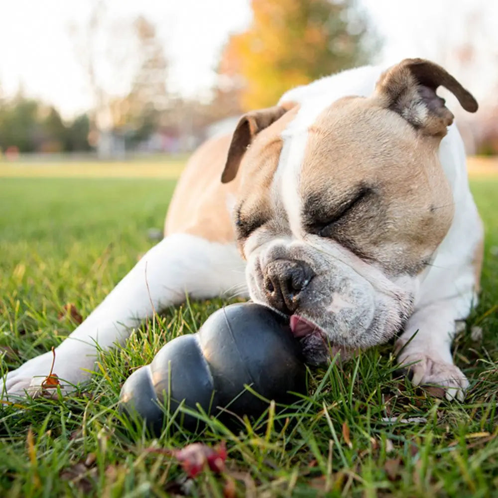 KONG Extreme Kauspielzeug-Kollektion für Hunde, Größe XL