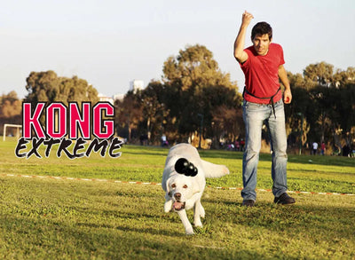 Jouet pour chien KONG Extreme avec votre choix de friandises pour chien S-XXL