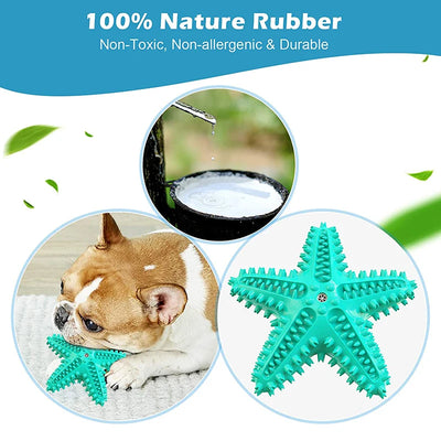 Star Dog Chew Toy Toothbrush