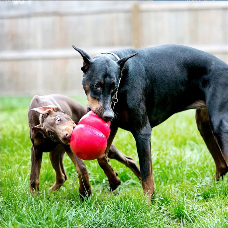 KONG Bounzer Dog Toy Size-M