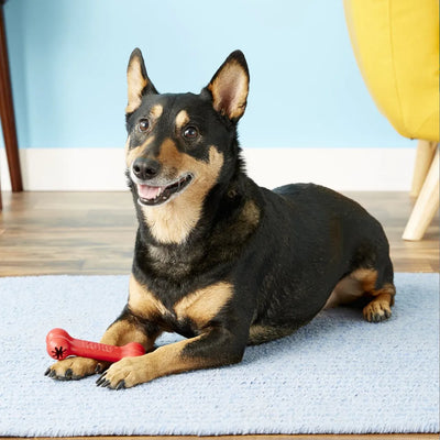 KONG Classic Goodie Bone Hundespielzeug, Größe M