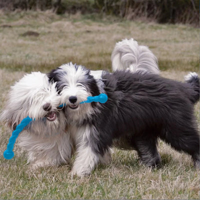 Jouet pour chien KONG Safestix taille S