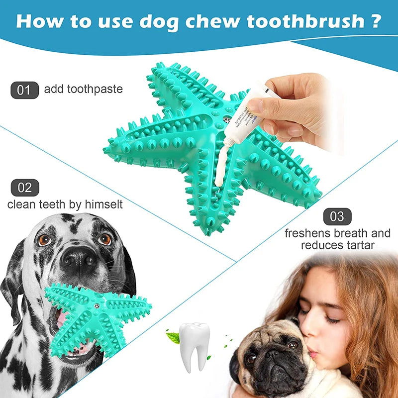 Star Dog Chew Toy Toothbrush