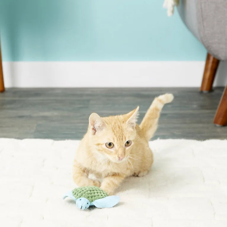 Jouet pour chat rechargeable KONG Tortue à l'herbe à chat