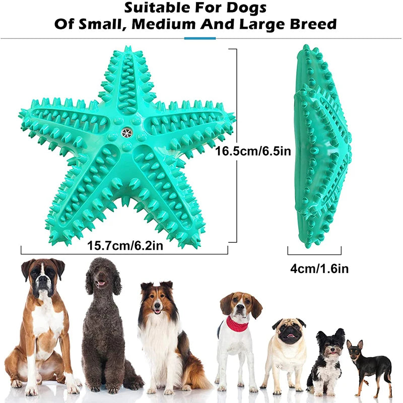 Star Dog Chew Toy Toothbrush