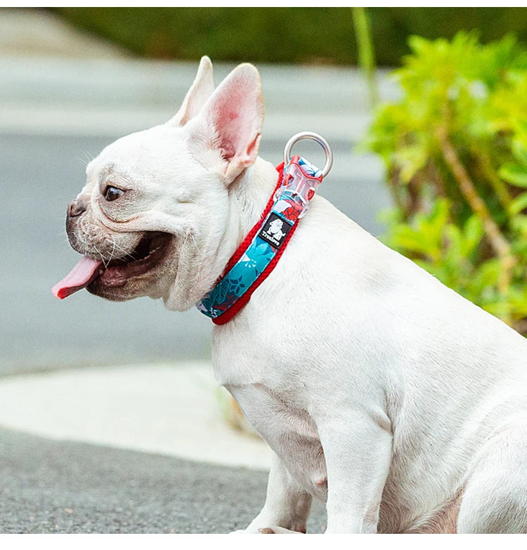 Collier pour chien à motif floral avec coussin rembourré confortable