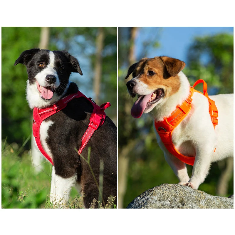 Cloud Soft Harness Hundeweste