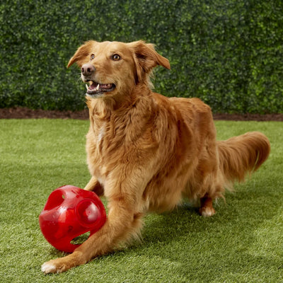 KONG Jumbler Ball/Fußball Hundespielzeug Größe M/L