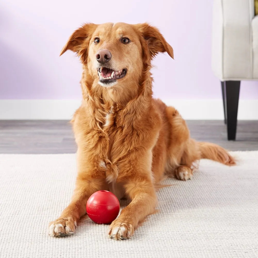 KONG Ball Hundespielzeug Größe M/L