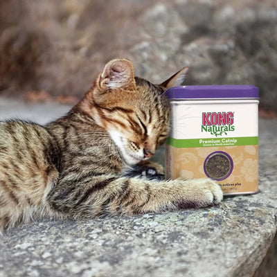 KONG Naturals Premium Catnip, 1 oz For Cat