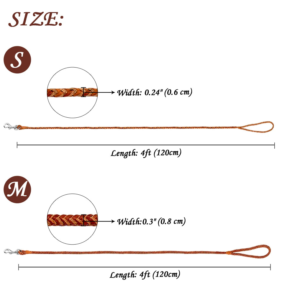 Premium Rolled Leather Dog Leash Braided