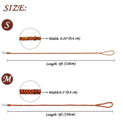 Premium Rolled Leather Dog Leash Braided