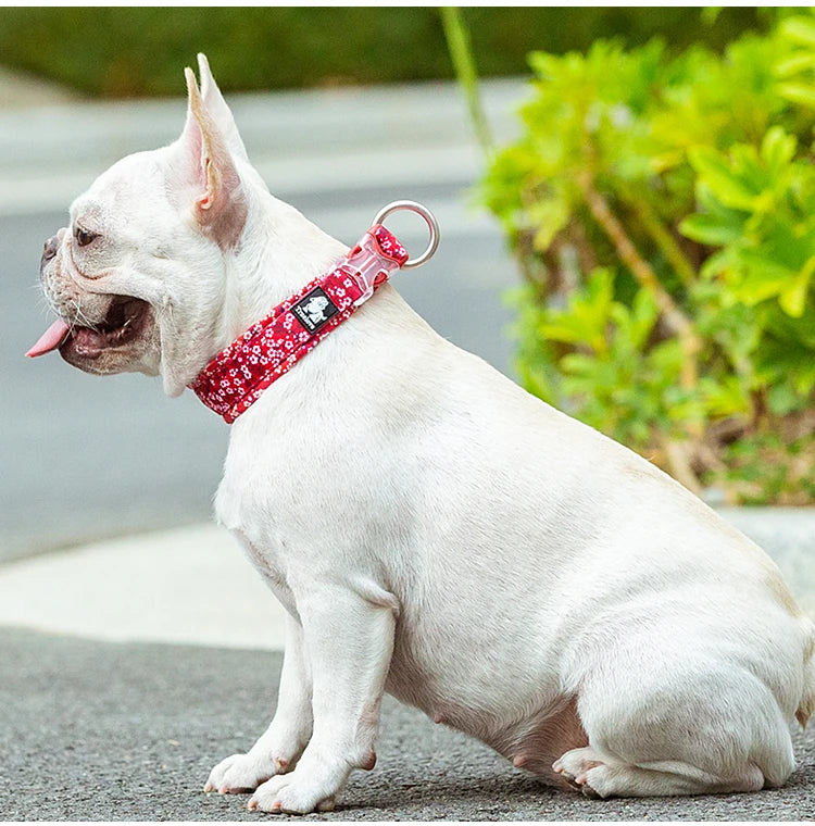 Hundehalsband mit Blumenmuster, bestes gepolstertes Komfortkissen