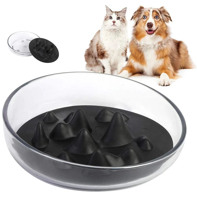 2in1 Slow Feeding Pet Bowl