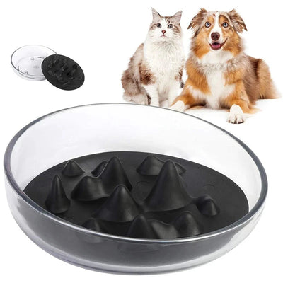 2in1 Slow Feeding Pet Bowl