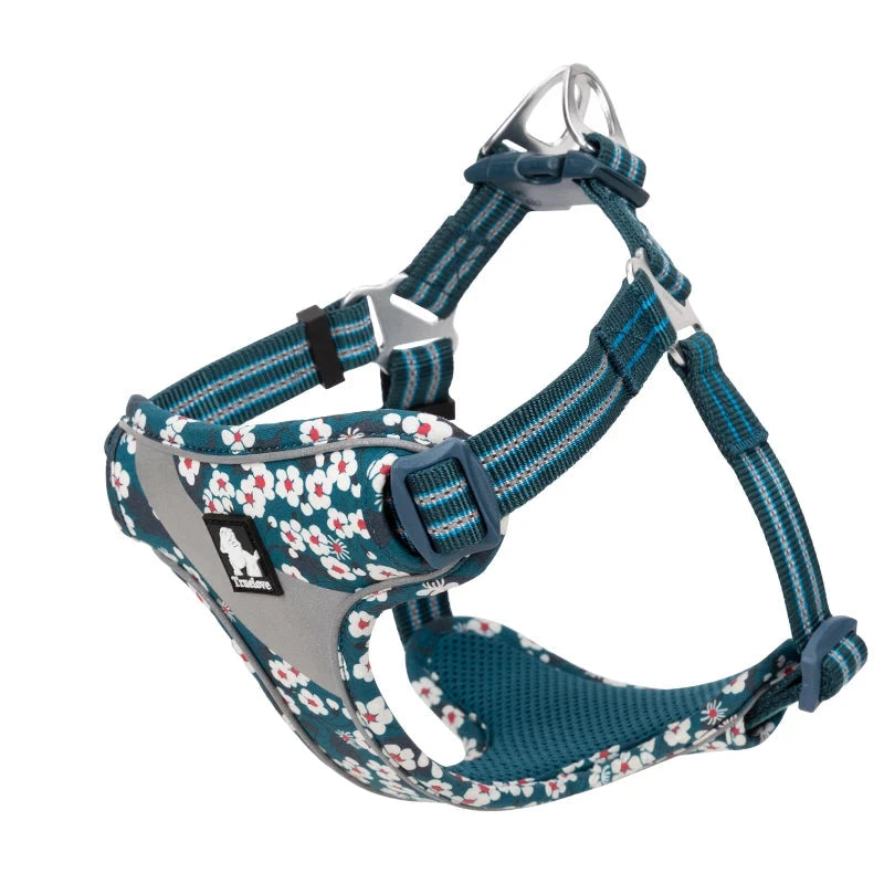 Joy Collection Pet Harness Vest