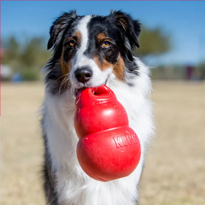 KONG Bounzer Hundespielzeug Größe L