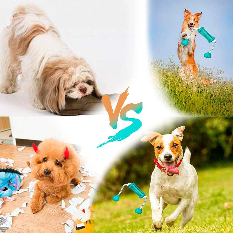 Teeth Cleaning Durable Dog Chew Toys Interactive Nontoxic Rubber