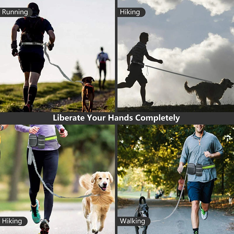 Running Friend Reflective Handsfree Dog Leash Belt