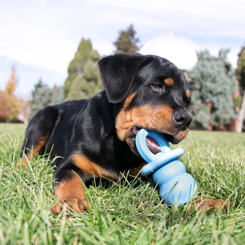 KONG Puppy Binkie Größe S/M