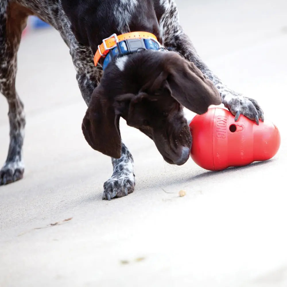 KONG Wobbler Dog Toy Size-S