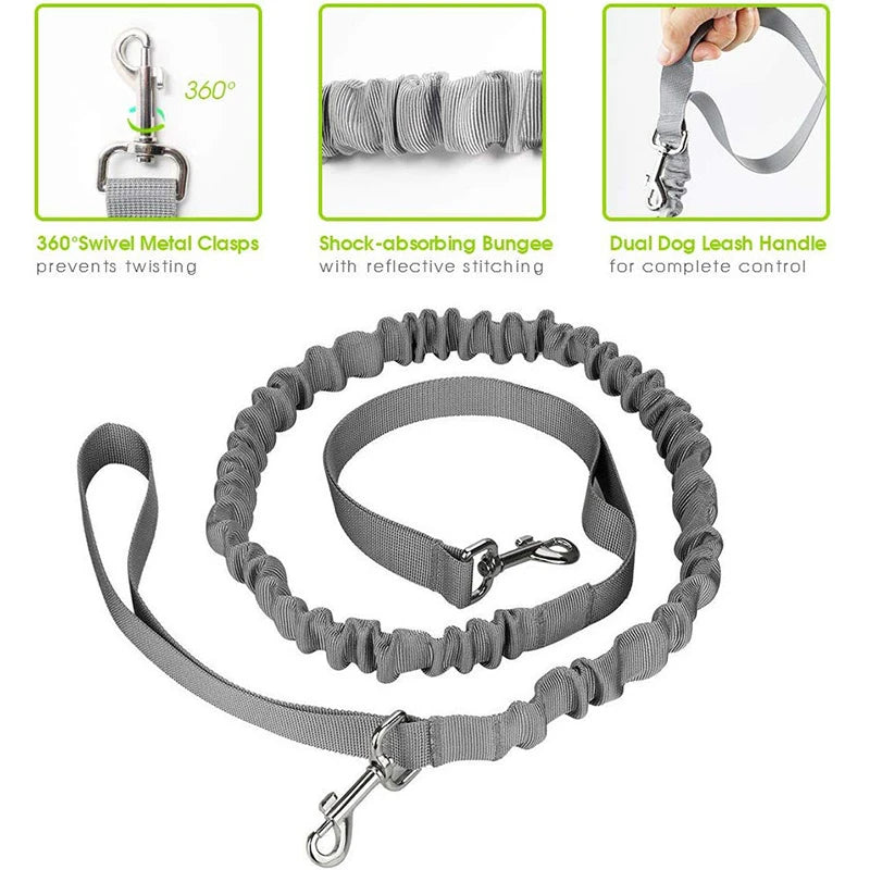 Ceinture réfléchissante mains libres pour chien Running Friend