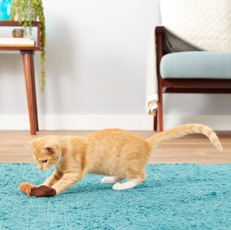 Jouet pour chat rechargeable KONG Beaver Catnip