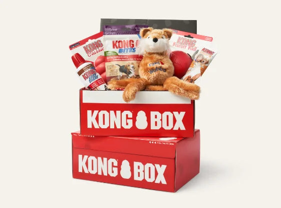 KONG Starter Box For Puppy