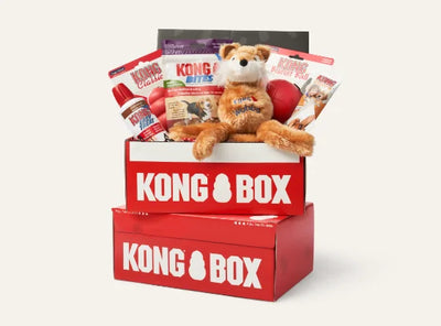 Coffret de démarrage KONG pour chiot