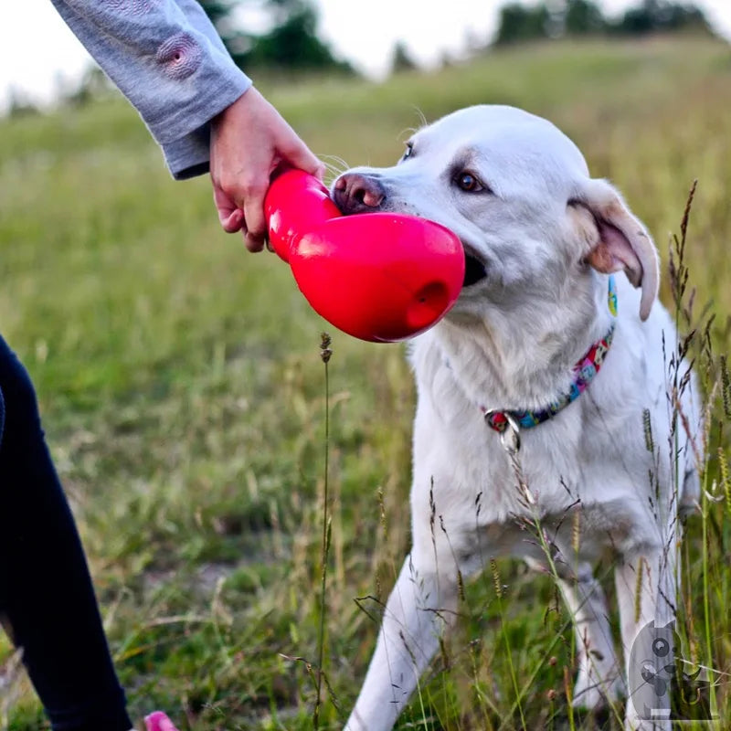 Jouet pour chien KONG Bounzer Taille M