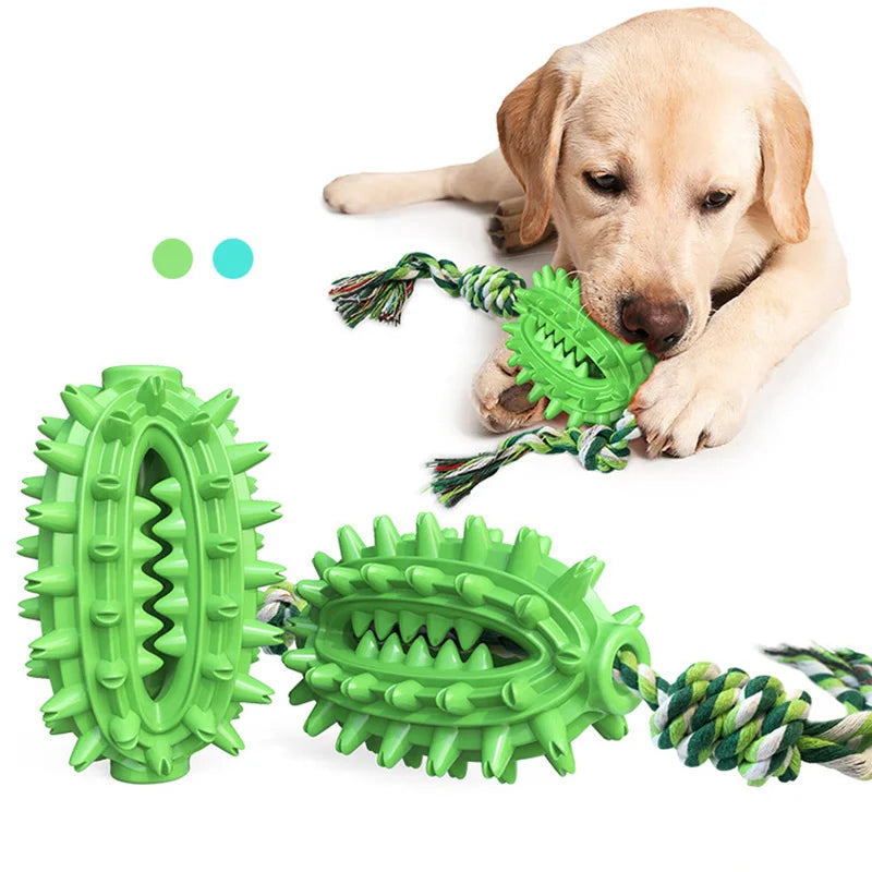 Jouets à mâcher pour chien Cactus Corde en coton amovible et douce