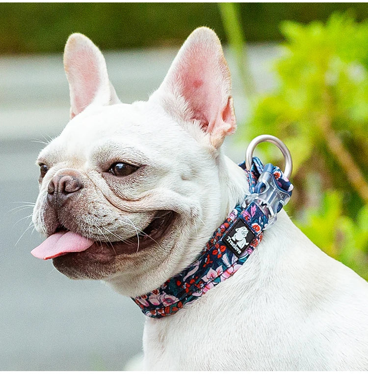 Collier pour chien à motif floral avec coussin rembourré confortable