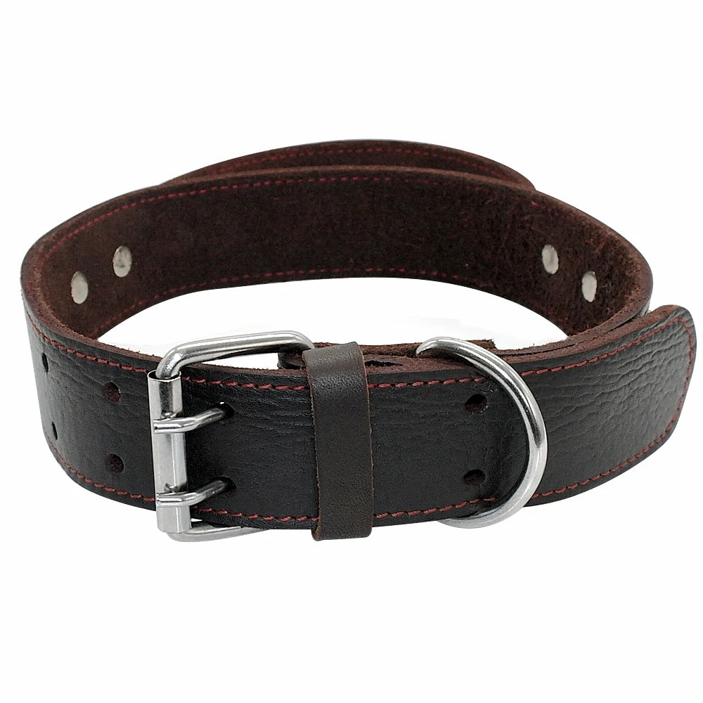 Collier pour chien en cuir Super Control avec poignée courte durable