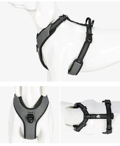 X-Treme Control Dog Harness