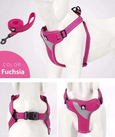 Ergonomic Dog Harness Outdoor Adventure Vest