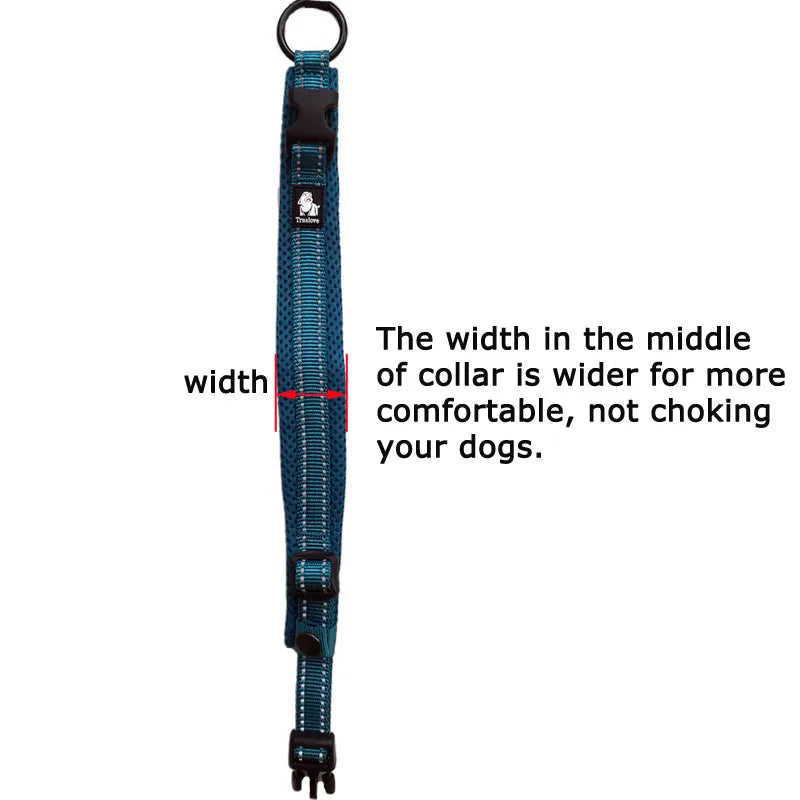 Easy Walk Dog Collar & Leash Set