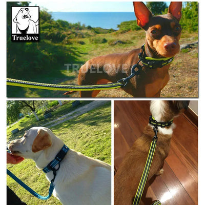 Easy Walk Dog Collar & Leash Set