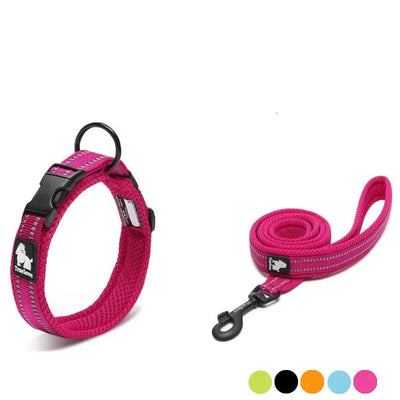 Easy Walk Dog Collar & Leash Set